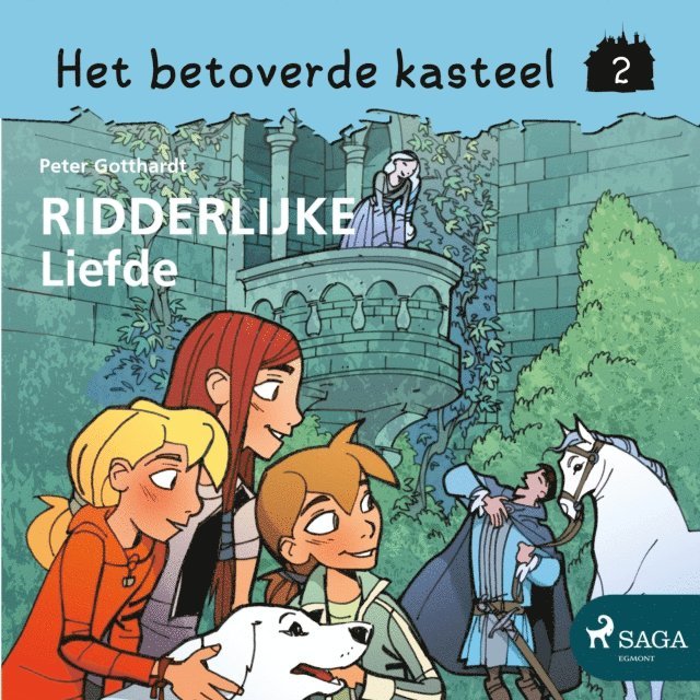 Gotthardt - Het betoverde kasteel 2 – Ridderlijke liefde, Ljudbok