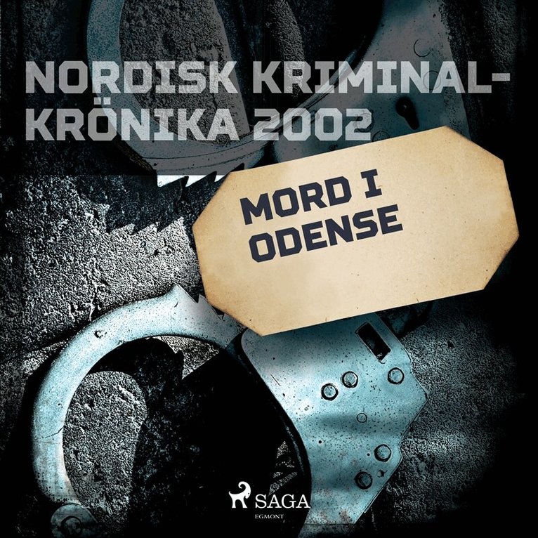 Diverse - Mord i Odense, Ljudbok