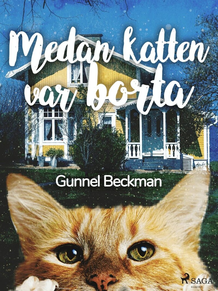 Gunnel Beckman - Medan katten var borta, E-bok