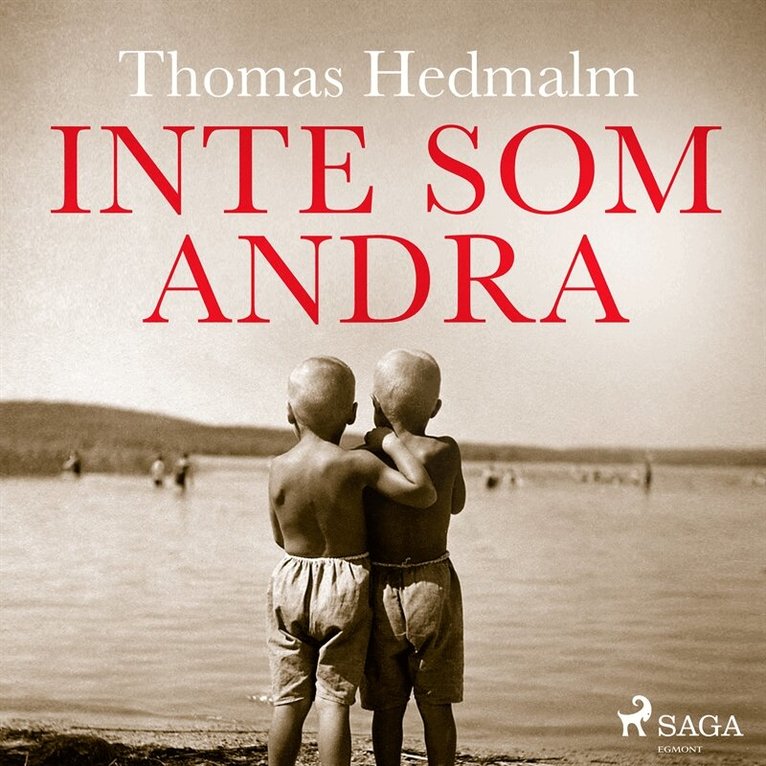 Thomas Hedmalm - Inte som andra, Ljudbok