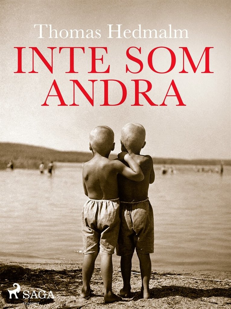 Thomas Hedmalm - Inte som andra, E-bok