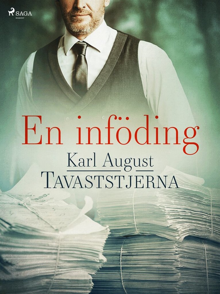 Karl August Tavaststjerna - En inföding, E-bok