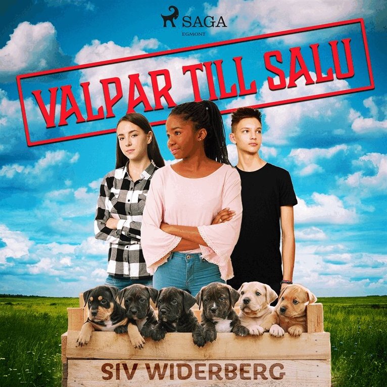 Siv Widerberg - Valpar till salu, Ljudbok