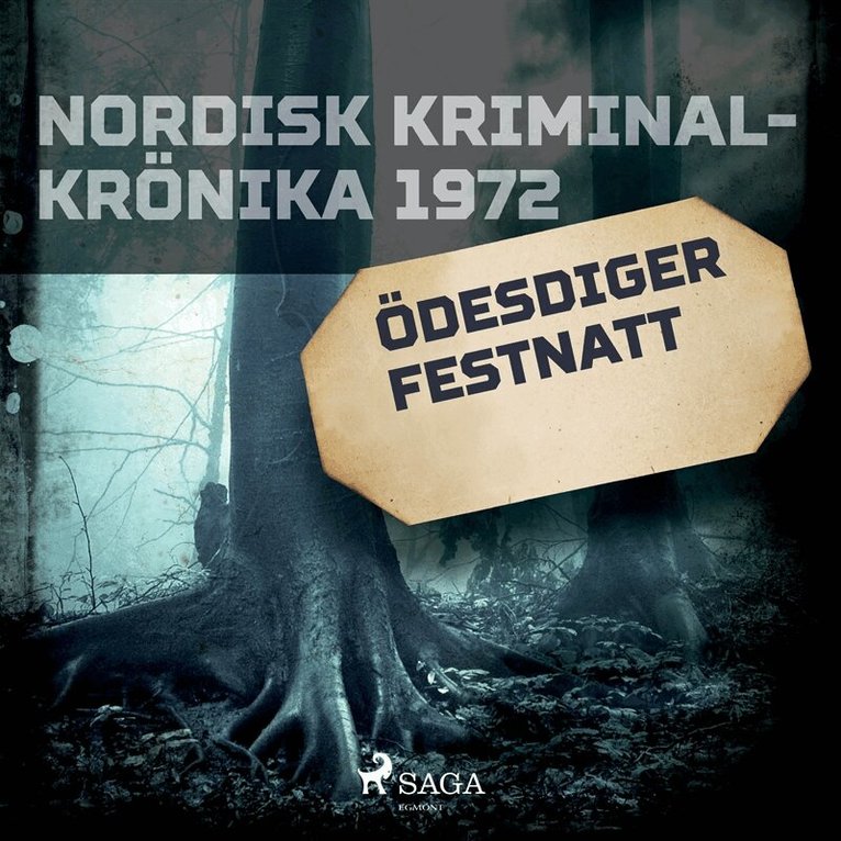 Diverse - Ödesdiger festnatt, Ljudbok