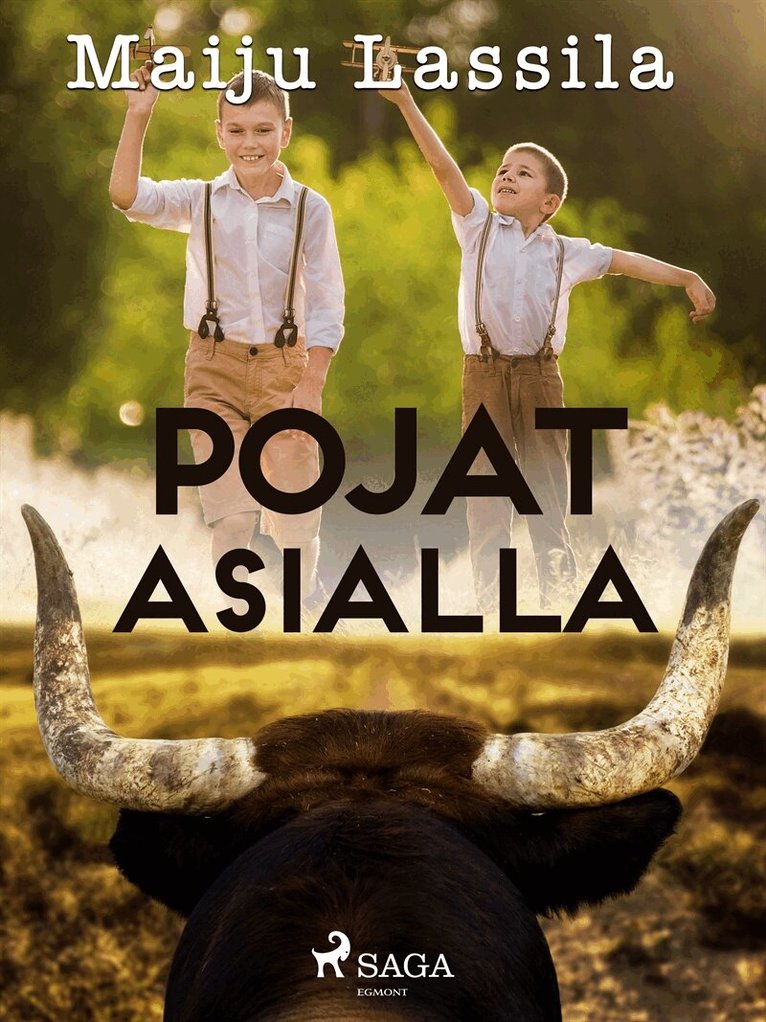 Maiju Lassila - Pojat asialla, E-bok