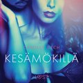 Kesmkill - eroottinen novelli