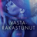 Vastarakastunut - eroottinen novelli
