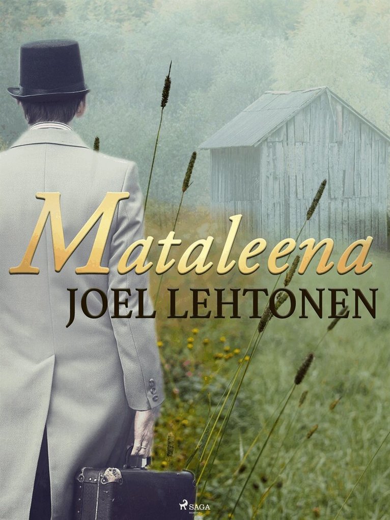 Joel Lehtonen - Mataleena, E-bok