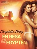 En resa till Egypten - erotisk novell