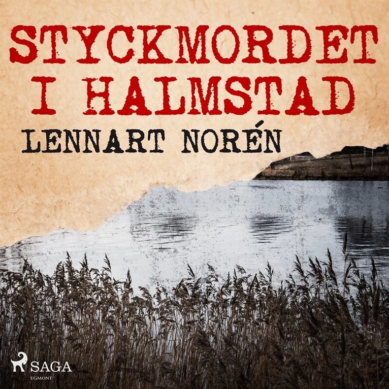 Lennart Norén - Styckmordet i Halmstad, Ljudbok