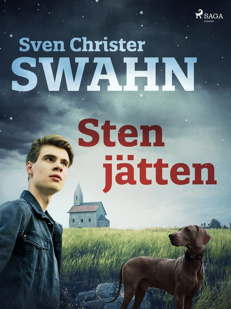 Sven Christer Swahn - Stenjätten, E-bok