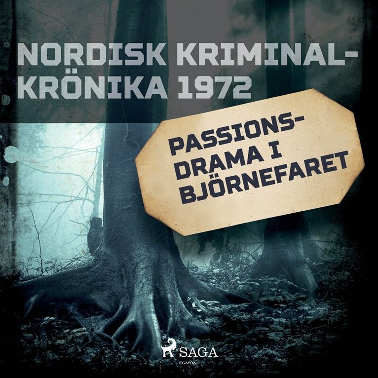 Diverse - Passionsdrama i Björnefaret, Ljudbok