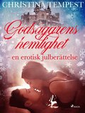 Godsgarens hemlighet - en erotisk julberttelse