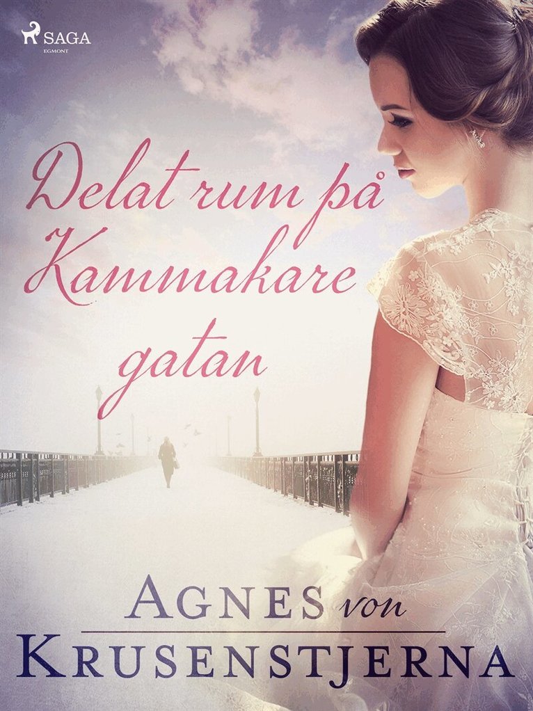 Agnes von Krusenstjerna - Delat rum på Kammakaregatan, E-bok