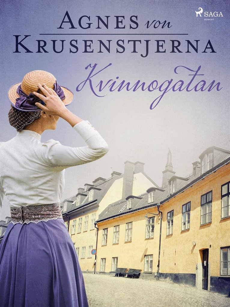 Agnes von Krusenstjerna - Kvinnogatan, E-bok