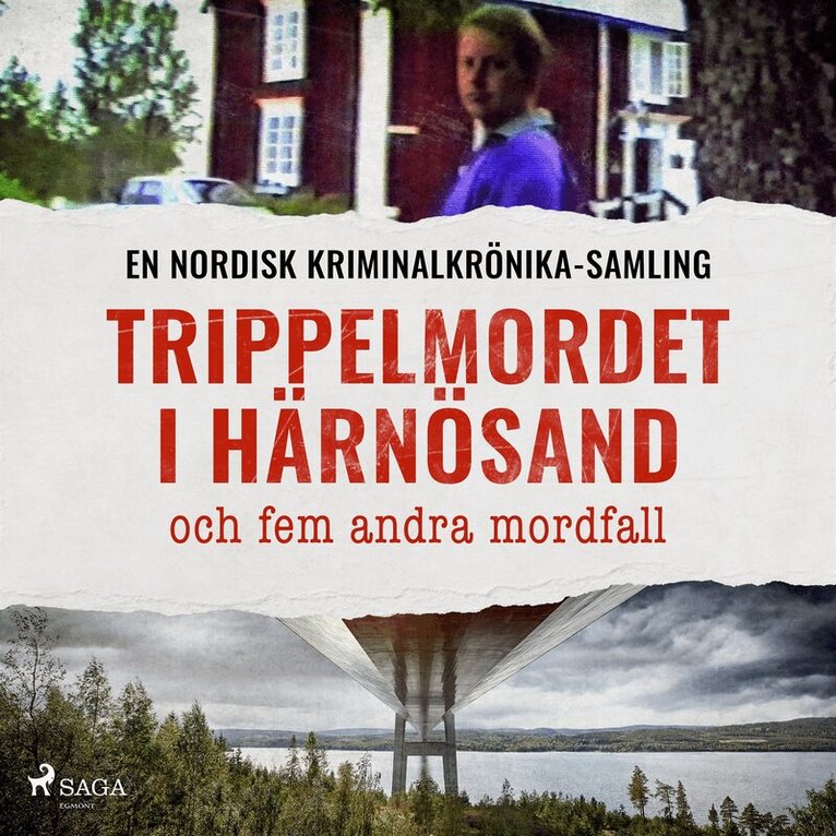 Diverse - Trippelmordet i Härnösand, och fem andra mordfall, Ljudbok