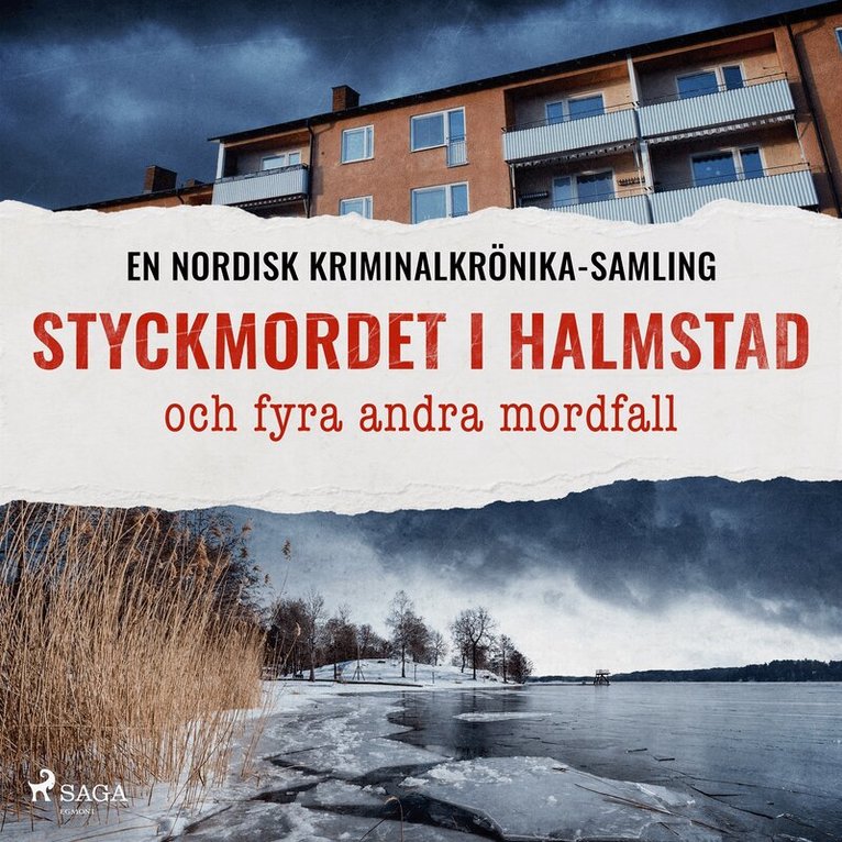 Diverse - Styckmordet i Halmstad och fyra andra mordfall, Ljudbok