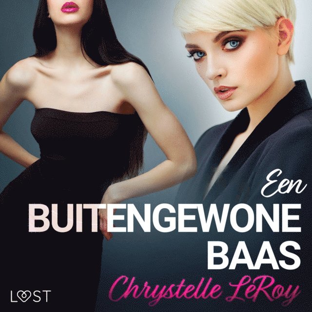 LeRoy - Een buitengewone baas - erotisch verhaal, Ljudbok