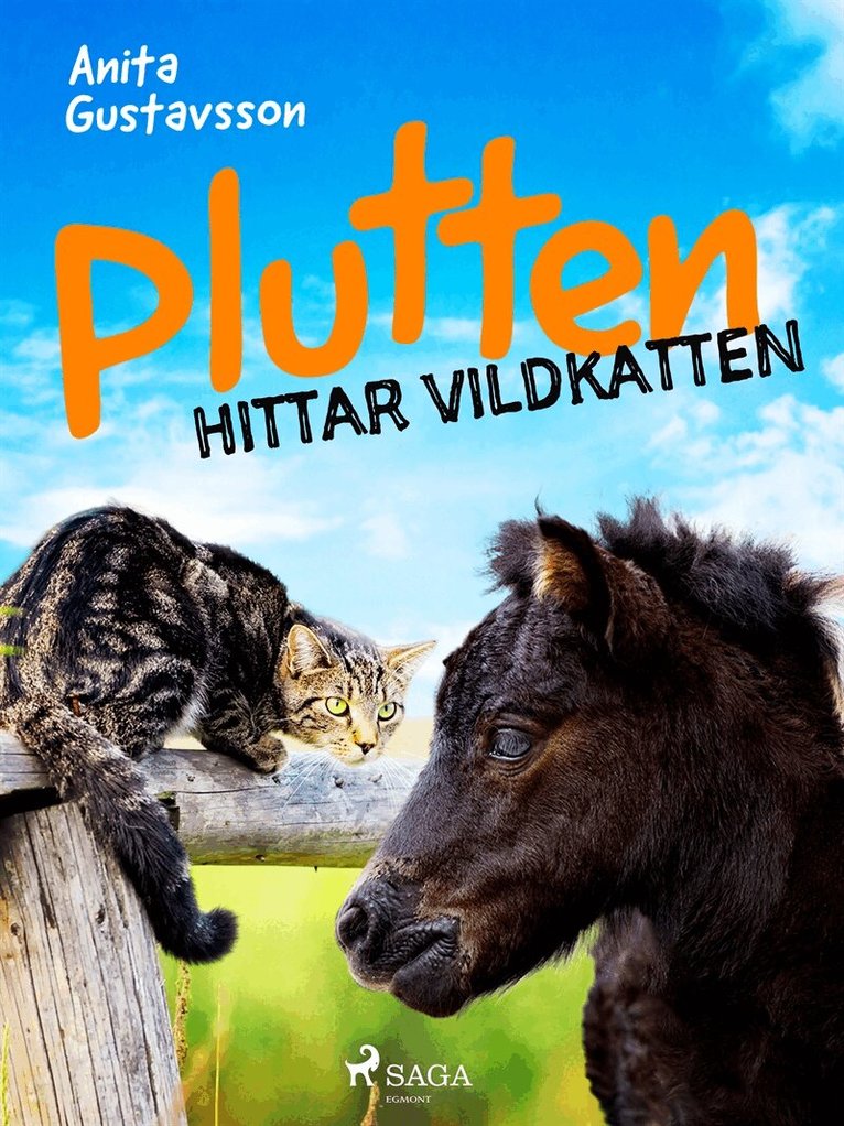 Anita Gustavsson - Plutten hittar vildkatten, E-bok