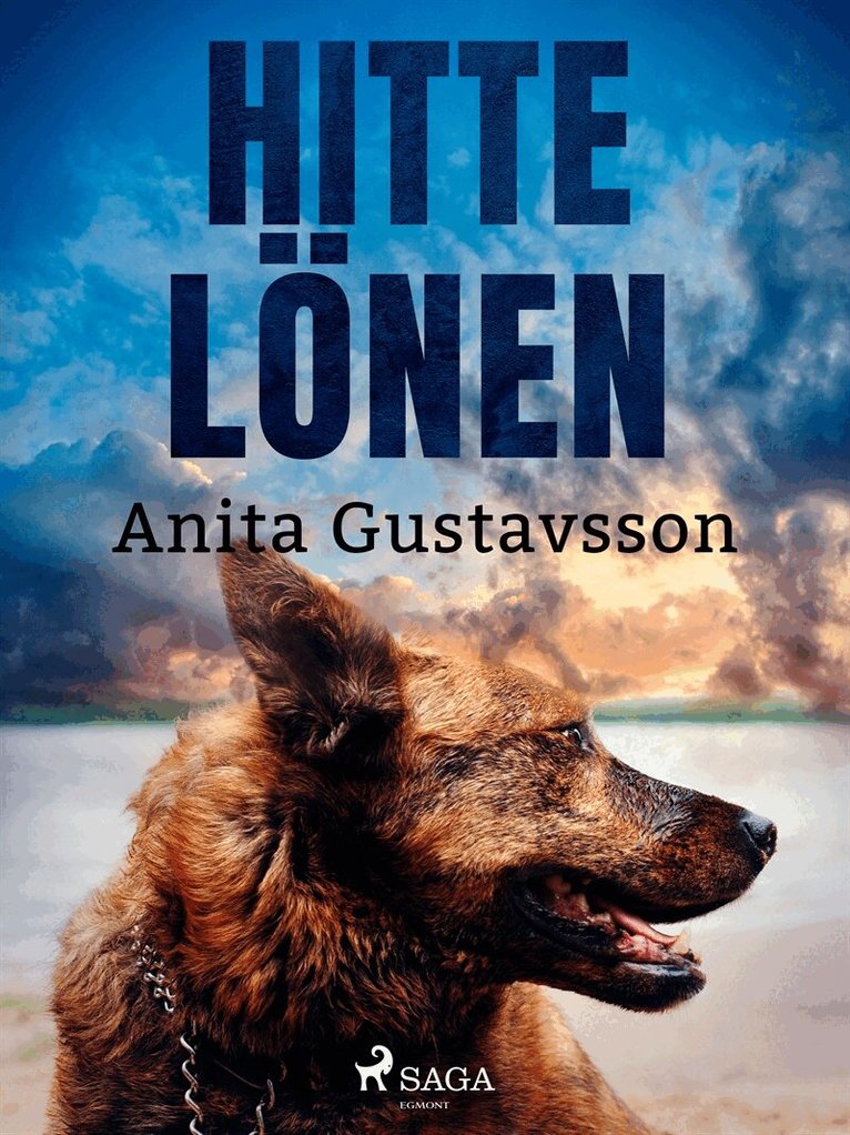Anita Gustavsson - Hittelönen, E-bok