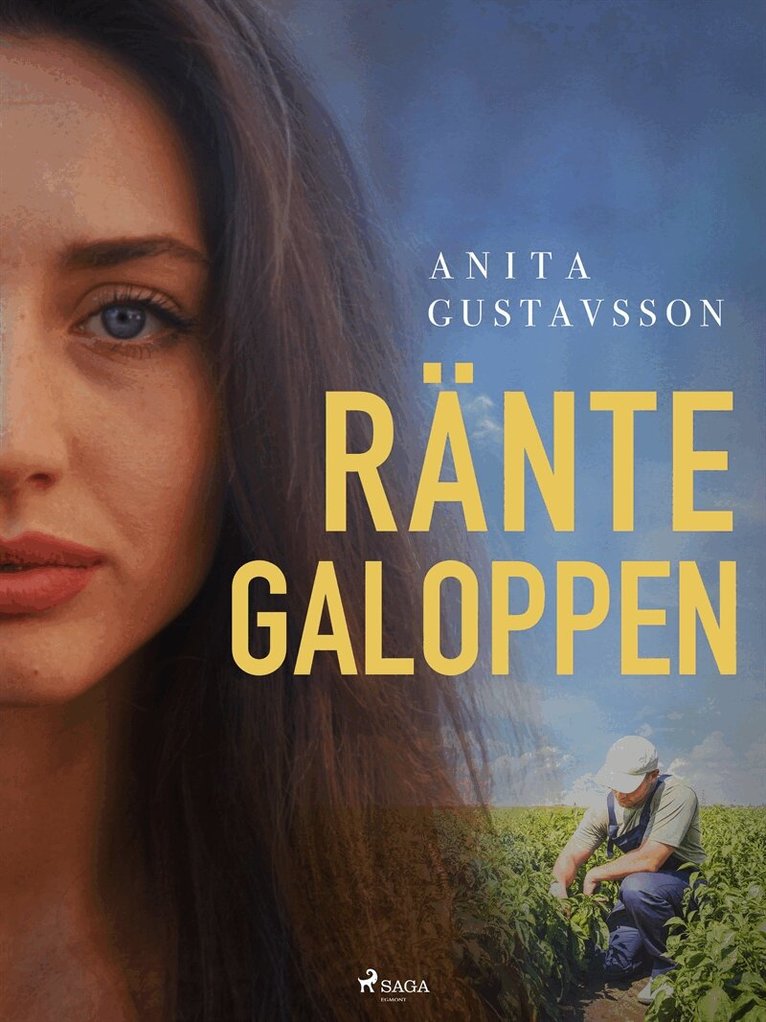 Anita Gustavsson - Räntegaloppen, E-bok