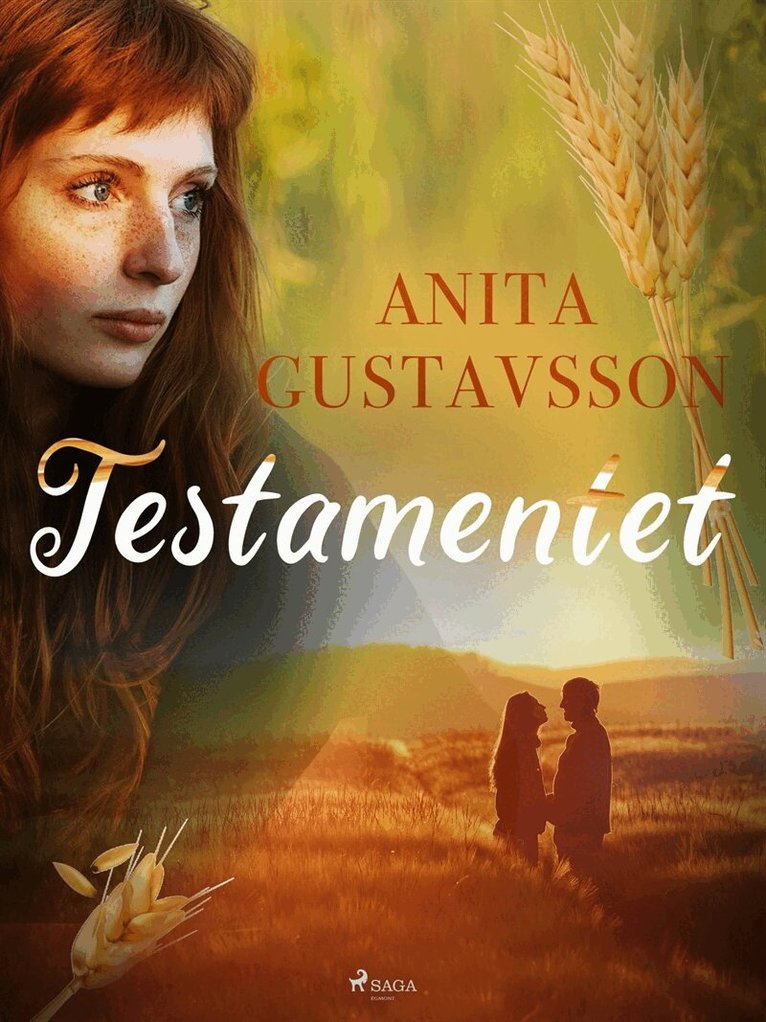 Anita Gustavsson - Testamentet, E-bok
