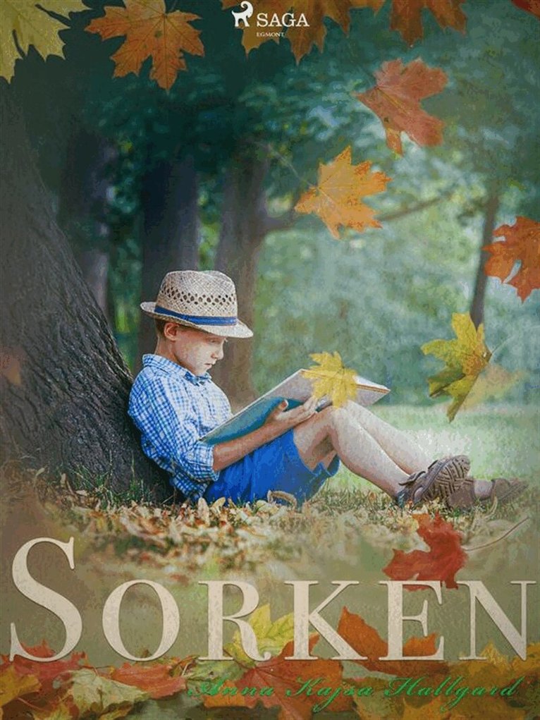 Anna Kajsa Hallgard - Sorken, E-bok