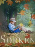 Sorken