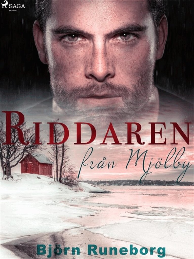 Björn Runeborg - Riddaren från Mjölby, E-bok