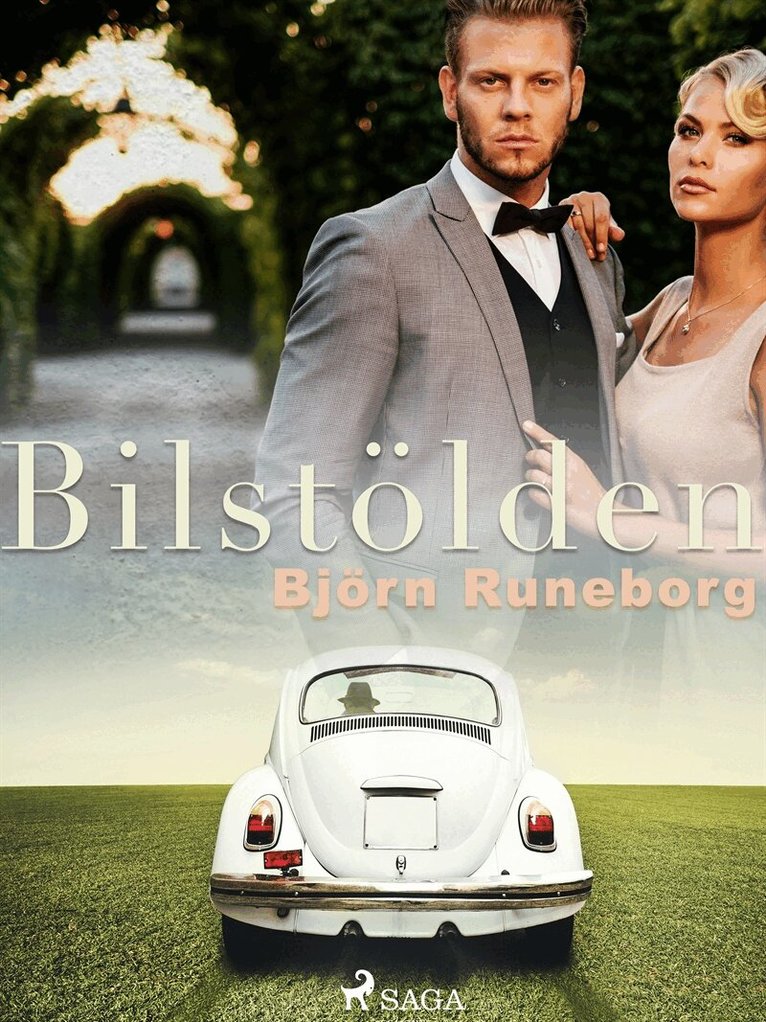 Björn Runeborg - Bilstölden, E-bok