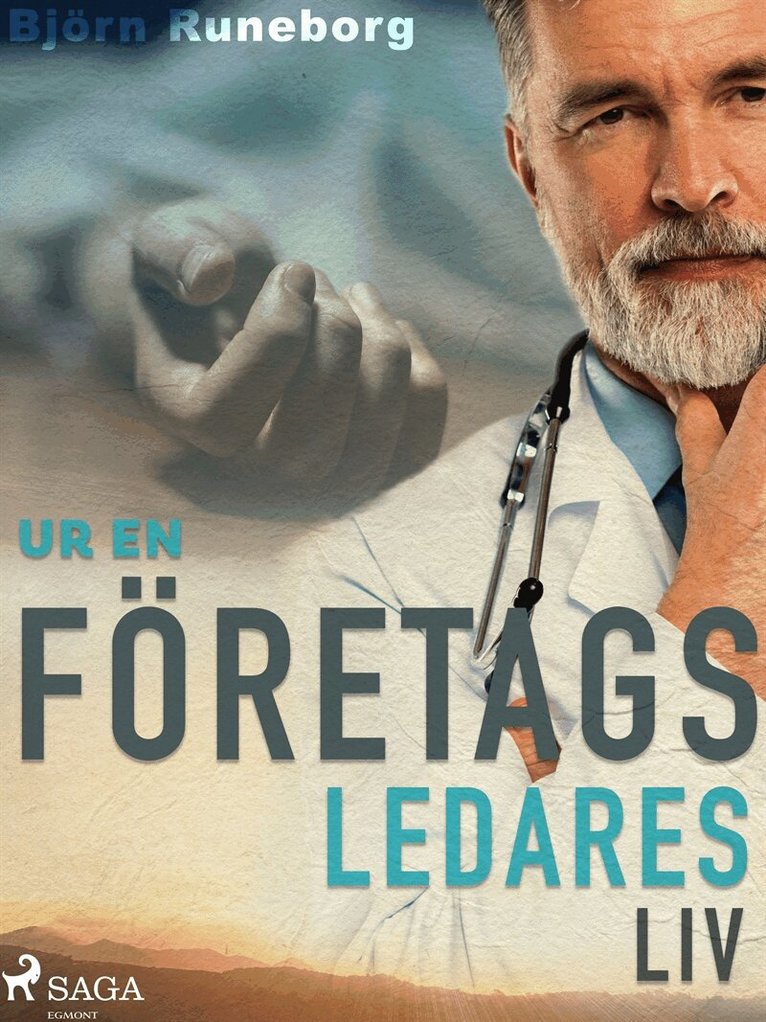 Björn Runeborg - Ur en företagsledares liv, E-bok