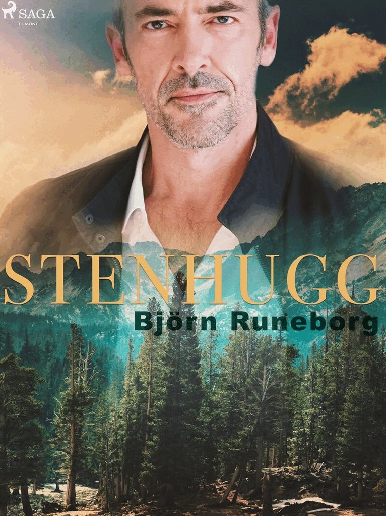 Björn Runeborg - Stenhugg, E-bok