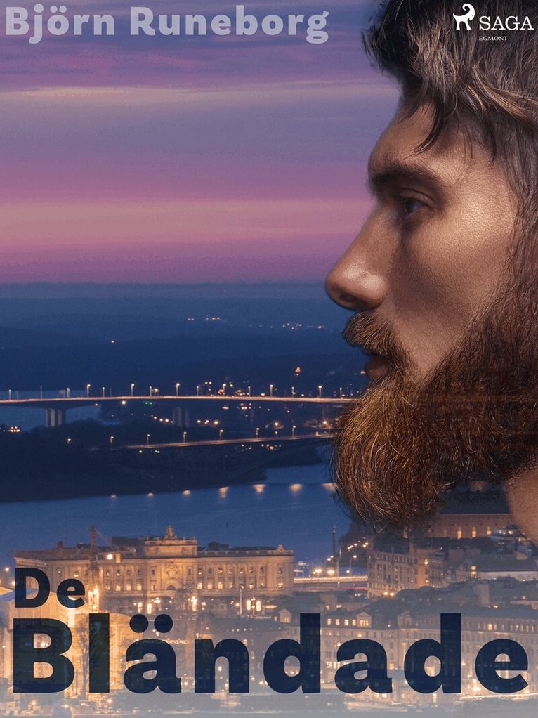 Björn Runeborg - De bländade, E-bok