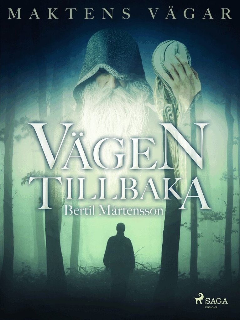 Bertil Mårtensson - Maktens Vägar: Vägen tillbaka, E-bok