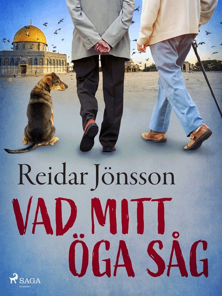 Reidar Jönsson - Vad mitt öga såg, E-bok