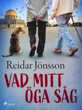 Vad mitt öga såg