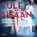 Tule sisn - eroottinen novelli