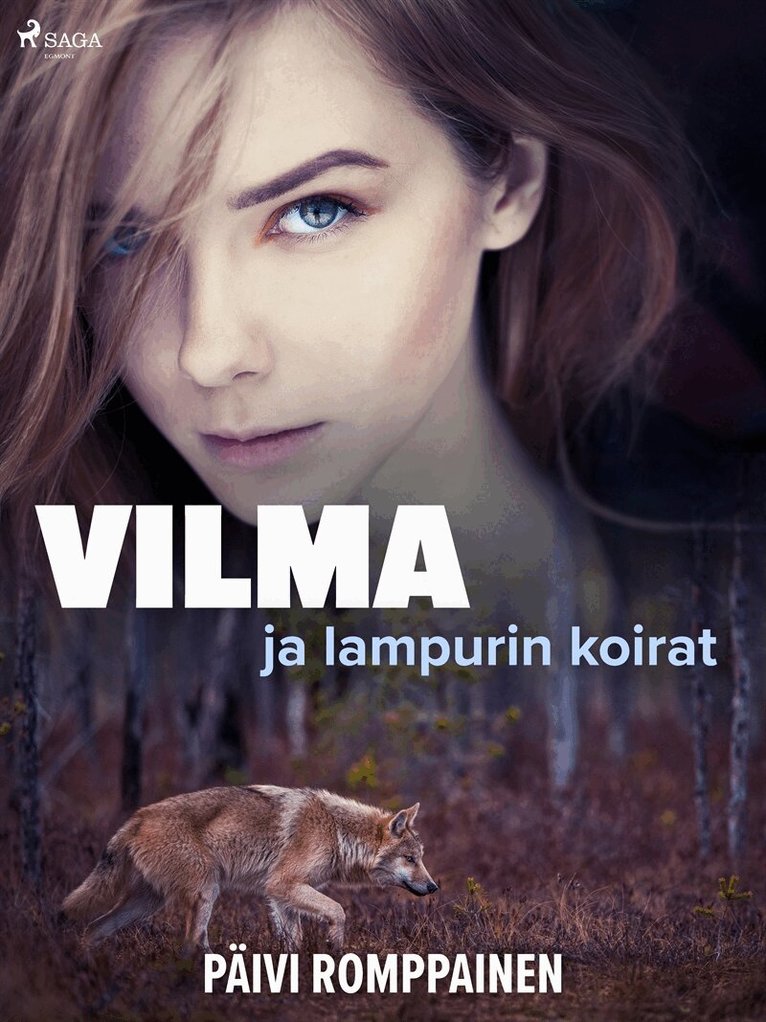 Päivi Romppainen - Vilma ja lampurin koirat, E-bok