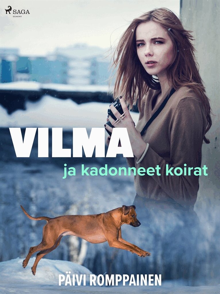 Päivi Romppainen - Vilma ja kadonneet koirat, E-bok