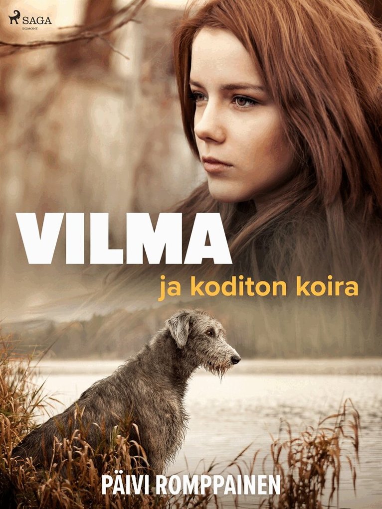 Päivi Romppainen - Vilma ja koditon koira, E-bok
