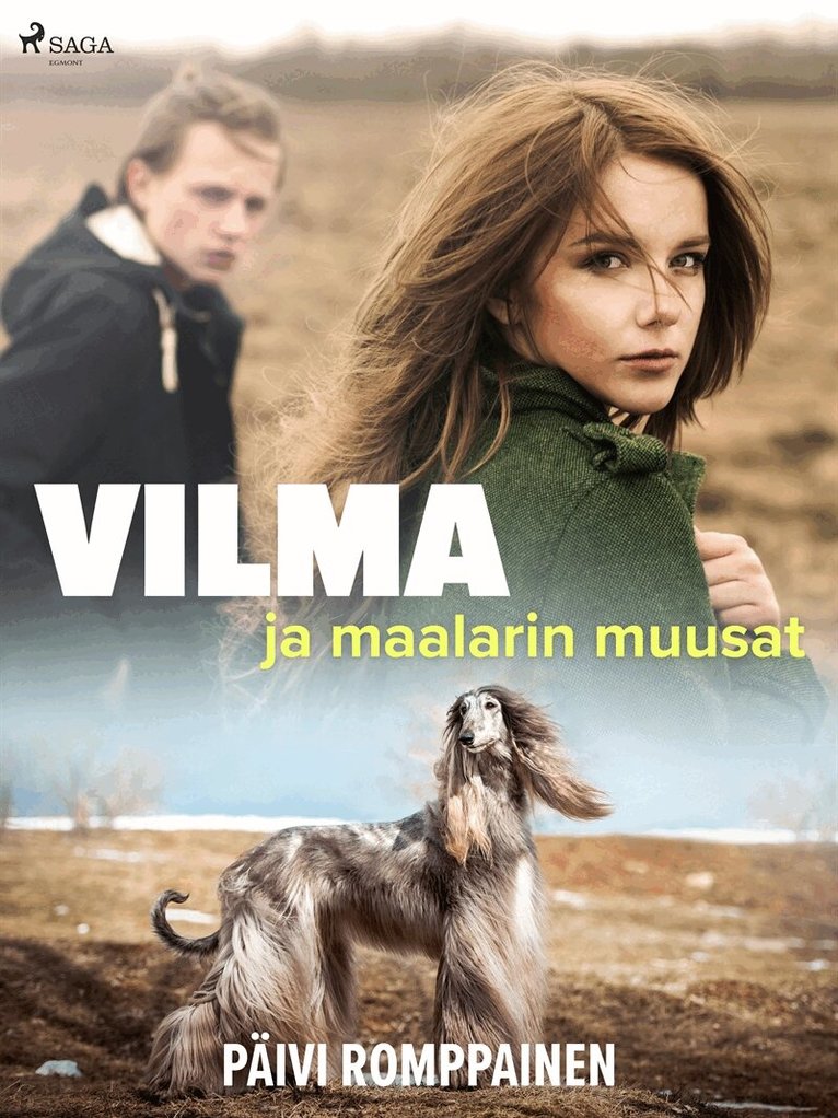 Päivi Romppainen - Vilma ja maalarin muusat, E-bok