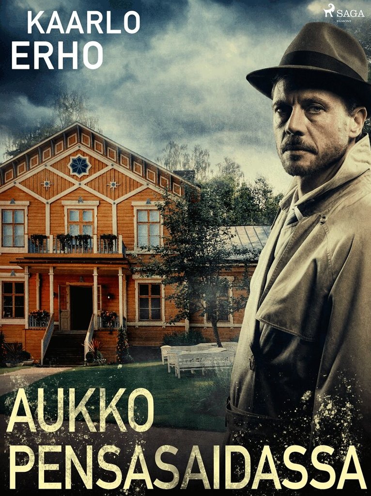 Kaarlo Erho - Aukko pensasaidassa, E-bok