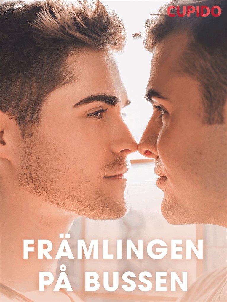 Cupido - Främlingen på bussen, E-bok