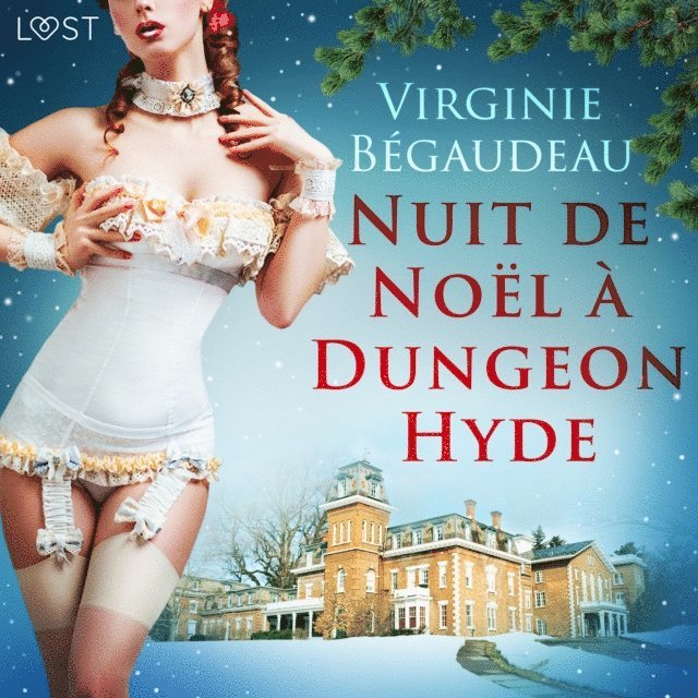 Begaudeau - Nuit de Noël à Dungeon Hyde – Une nouvelle érotique, Ljudbok