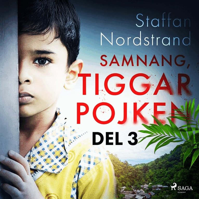 Staffan Nordstrand - Samnang, tiggarpojken - del 3, Ljudbok