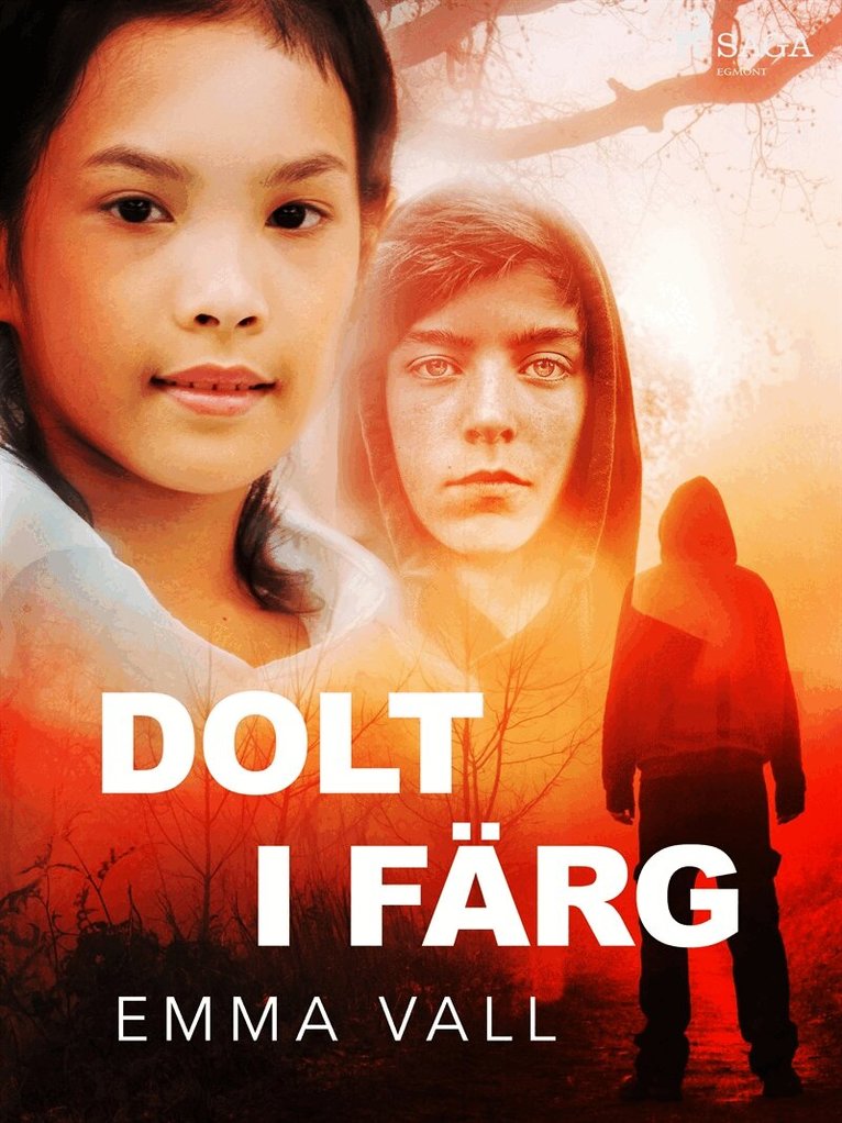 Emma Vall - Dolt i färg, E-bok
