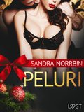 Peluri - eroottinen joulutarina
