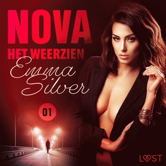 Silver - Nova 1: Het weerzien - erotisch verhaal, Ljudbok