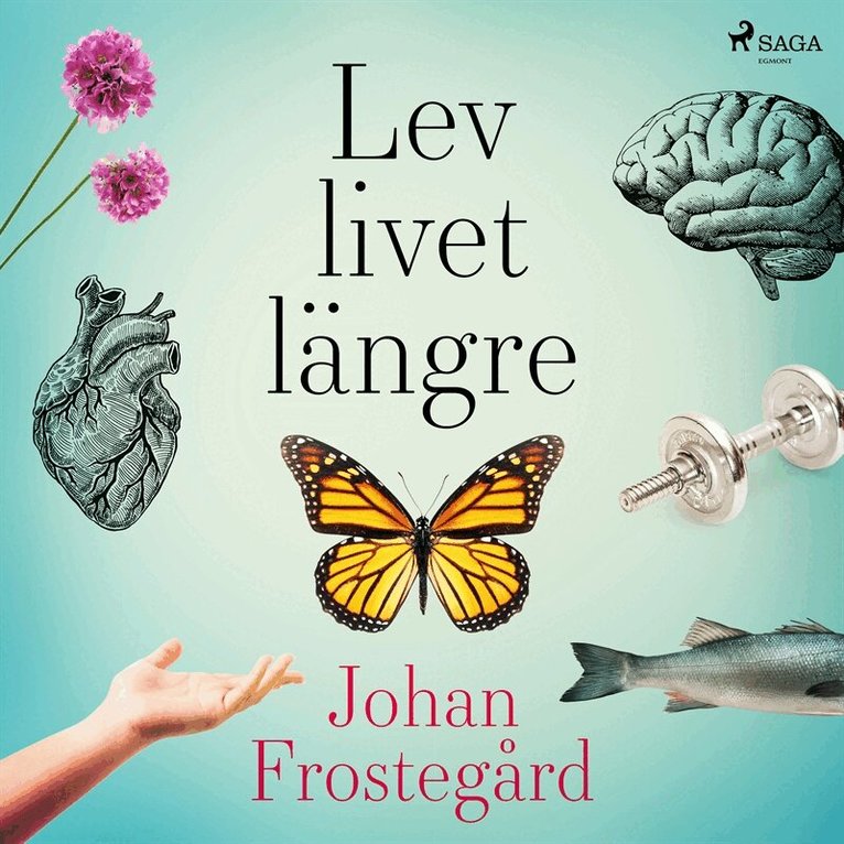 Johan Frostegård - Lev livet längre, Ljudbok