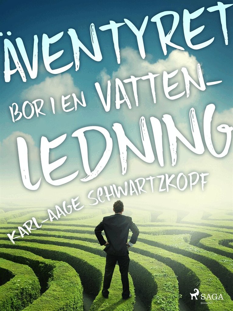 Karl-Aage Schwartzkopf - Äventyret bor i en vattenledning, E-bok